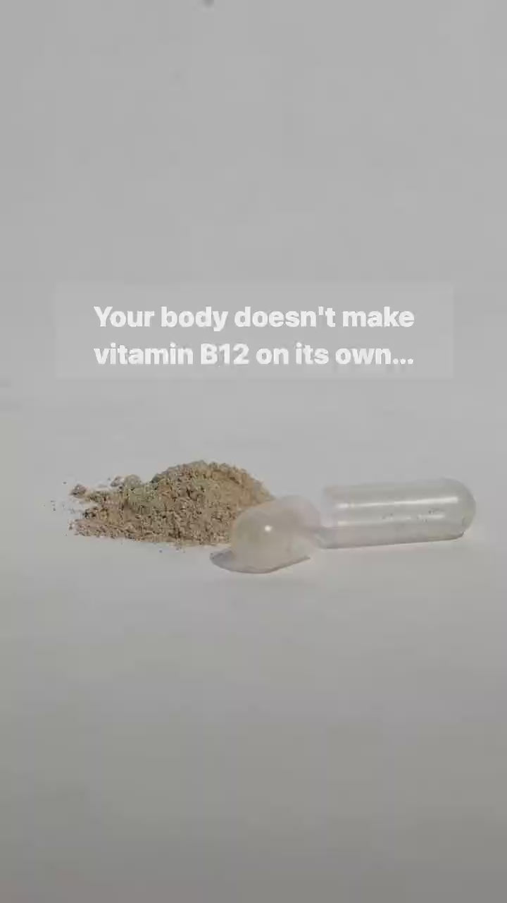 The Intro Pack : Vitality, Energy & Gut Health